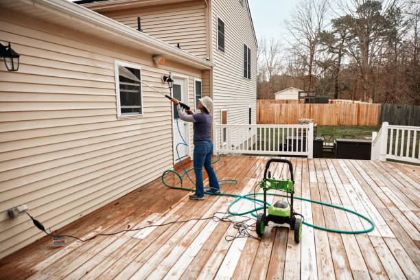 Best Roof Pressure Washing  in Morehead City, NC